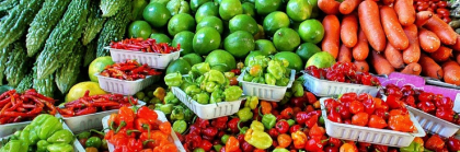 Processing Our Food Future Here at Home
